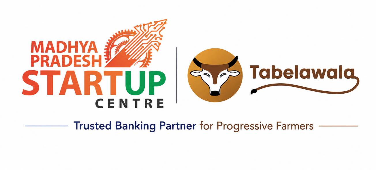 M.P Startup Excellence Award