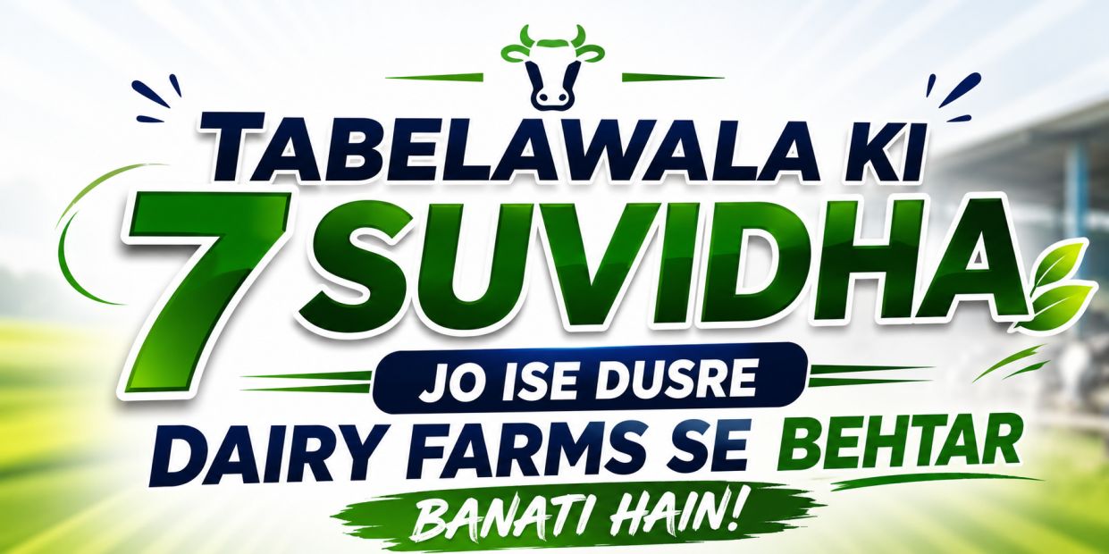 TabelaWala Ki 7 Suvidha Jo Ise Dusre Dairy Farms Se Behtar Banati Hain