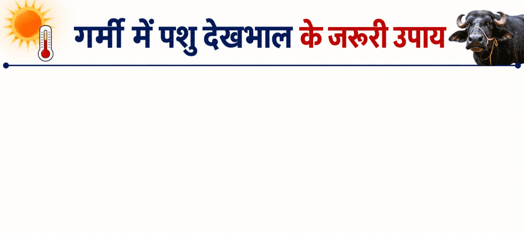 गर्मी में पशुओं का ध्यान कैसे रखें