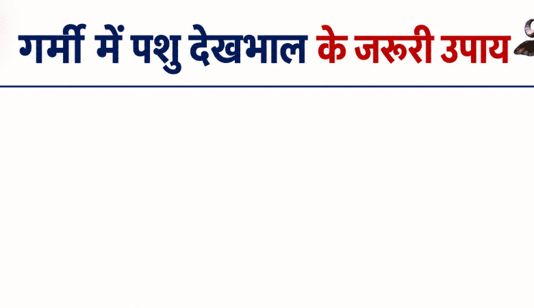 गर्मी में पशुओं का ध्यान कैसे रखें
